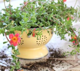 diy colander planter, container gardening, gardening, repurposing upcycling