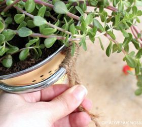 diy colander planter, container gardening, gardening, repurposing upcycling