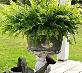 vintage planters, container gardening, gardening, home decor