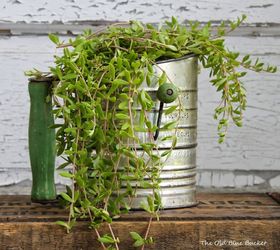 vintage planters, container gardening, gardening, home decor