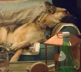 my big fat greenhouse project part deux, diy, gardening, home improvement, outdoor living