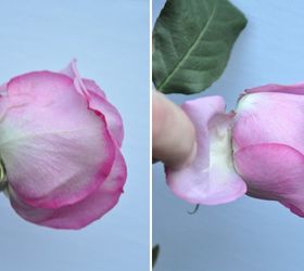 tips to make your valentine s day roses last longer, container gardening, flowers, gardening, seasonal holiday decor, valentines day ideas