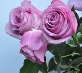 tips to make your valentine s day roses last longer, container gardening, flowers, gardening, seasonal holiday decor, valentines day ideas