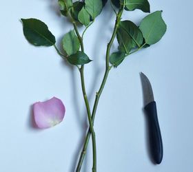 tips to make your valentine s day roses last longer, container gardening, flowers, gardening, seasonal holiday decor, valentines day ideas