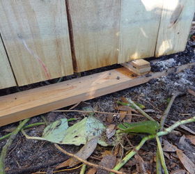 wood fence upgrade, diy, fences, home improvement, outdoor living, woodworking projects