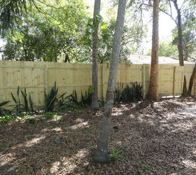 wood fence upgrade, diy, fences, home improvement, outdoor living, woodworking projects