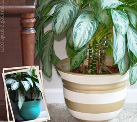 diy painted planter, container gardening, crafts, gardening