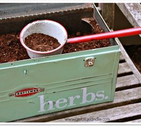 an herb toolbox, container gardening, crafts, gardening