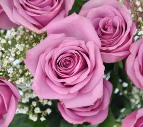tips to make your valentine s day roses last longer, container gardening, flowers, gardening, seasonal holiday decor, valentines day ideas