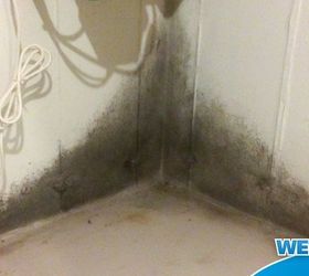 the simple way to say goodbye to bathtub mildew, bathroom ideas, cleaning tips, Wipe out Basement Mold