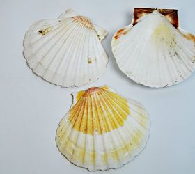 diy gorgeous scallop shell trinket dishes, crafts, repurposing upcycling