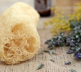 how to grow your sponge and eat it too, gardening, how to