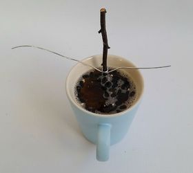 diy bird suet feeder from thrifted coffee mugs, crafts, outdoor living, repurposing upcycling