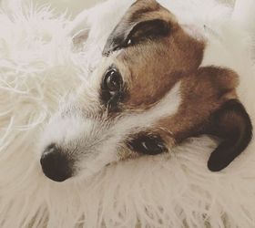 upcycle and old clock to a spring shadowbox, crafts, repurposing upcycling