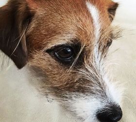 upcycle and old clock to a spring shadowbox, crafts, repurposing upcycling