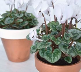 copper dipped planter pots, container gardening, crafts