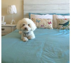 diy wooden headboard, diy, how to, painted furniture, woodworking projects