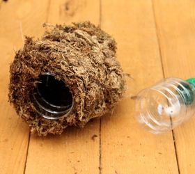 diy mounted staghorn fern with secret reservoir, diy, gardening, how to, painted furniture, pallet