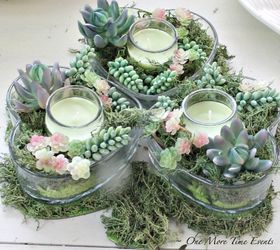 st patricks dollar store succulent centerpiece, container gardening, flowers, gardening, seasonal holiday decor, succulents