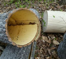 bark walls harvesting poplar bark, diy, repurposing upcycling, wall decor