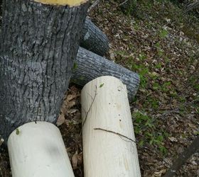 bark walls harvesting poplar bark, diy, repurposing upcycling, wall decor