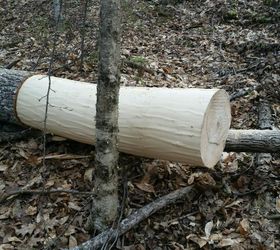 bark walls harvesting poplar bark, diy, repurposing upcycling, wall decor