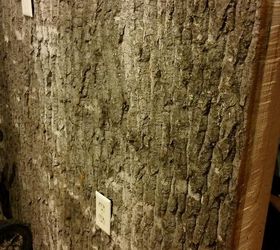 bark walls harvesting poplar bark, diy, repurposing upcycling, wall decor