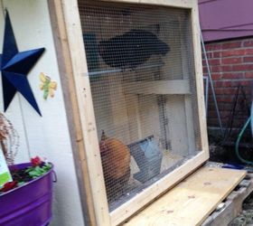 a summer chicken coop, diy, doors, homesteading, outdoor living, repurposing upcycling, woodworking projects