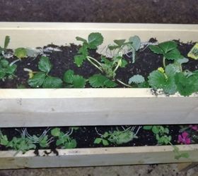 so the kids wanted a garden, container gardening, diy, gardening, woodworking projects