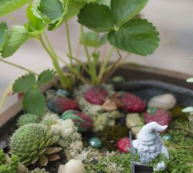 upcycled gnome garden, gardening, repurposing upcycling