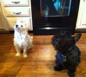 kitchen make over, countertops, diy, home improvement, kitchen design, painting, wall decor