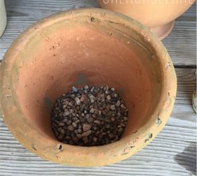 easy diy living rosemary and boxwood topiary on a budget, container gardening, gardening