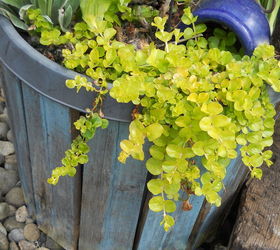 more pallet board nursery pot planters, container gardening, diy, gardening, pallet