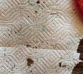 diy speckled robin s eggs, chalk paint, easter decorations, seasonal holiday decor