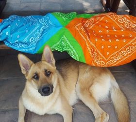 make a collapsible play tent for the kids, entertainment rec rooms, how to, outdoor furniture