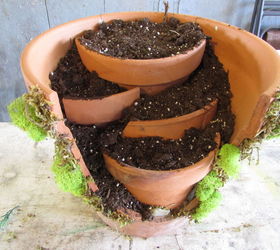 fairy garden, gardening