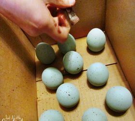 diy wood speckled robins eggs, easter decorations, seasonal holiday decor