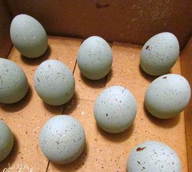 diy wood speckled robins eggs, easter decorations, seasonal holiday decor