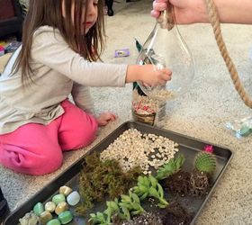 diy hanging globe and geo terrariums, diy, gardening, home decor, succulents, terrarium