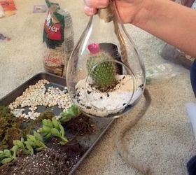 diy hanging globe and geo terrariums, diy, gardening, home decor, succulents, terrarium