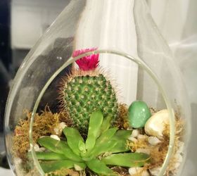 diy hanging globe and geo terrariums, diy, gardening, home decor, succulents, terrarium
