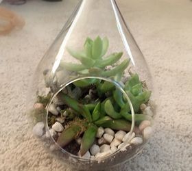 diy hanging globe and geo terrariums, diy, gardening, home decor, succulents, terrarium