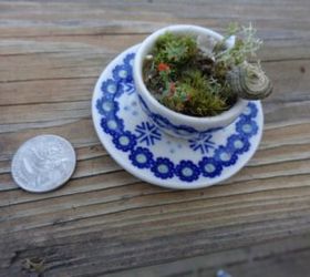 terrarium miniature tea cup saucer moss zen lilliputian garden fairy, gardening, terrarium