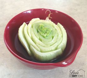 celery on your windowsill lettuce rejoice, diy, gardening