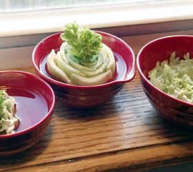 celery on your windowsill lettuce rejoice, diy, gardening