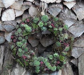 easy diy succulents wreath, crafts, flowers, gardening, succulents, wreaths