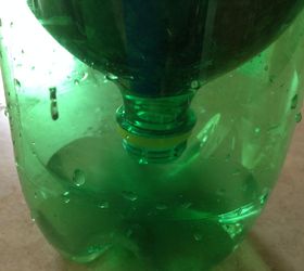 pop bottle greenhouse w t paper seedlings, container gardening, gardening, how to, repurposing upcycling