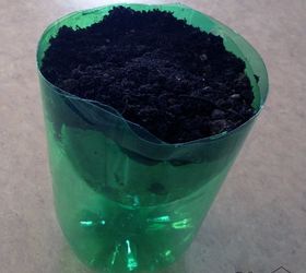 pop bottle greenhouse w t paper seedlings, container gardening, gardening, how to, repurposing upcycling