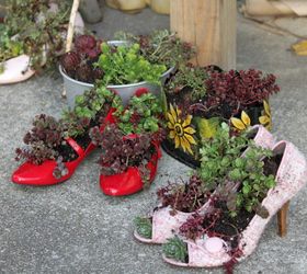 succulent decor we are ready for spring, container gardening, flowers, gardening, repurposing upcycling, succulents, We plant succulents in ANY type of containers