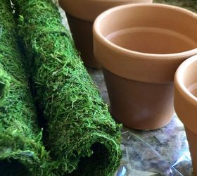 spring moss covered pots, container gardening, crafts, gardening